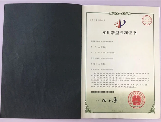 专利30
